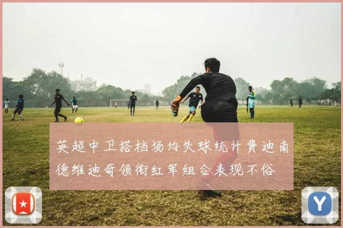 英超中卫搭档场均失球统计费迪南德维迪奇领衔红军组合表现不俗