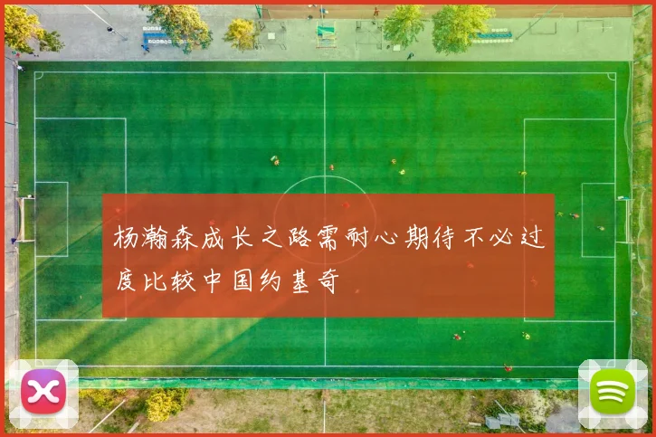 杨瀚森成长之路需耐心期待不必过度比较中国约基奇
