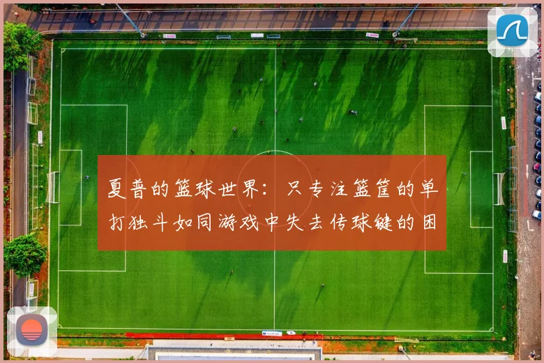 夏普的篮球世界：只专注篮筐的单打独斗如同游戏中失去传球键的困境