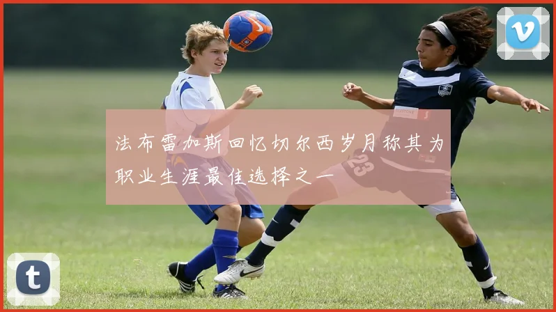 法布雷加斯回忆切尔西岁月称其为职业生涯最佳选择之一