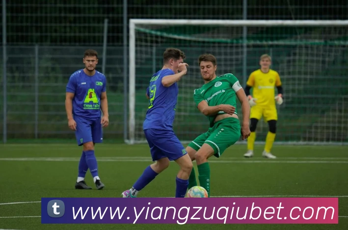 意昂体育平台生态图